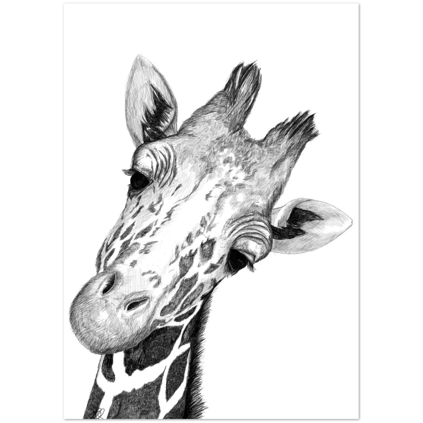 4622a3e5-28ba-4622-b36c-2bd44c053436