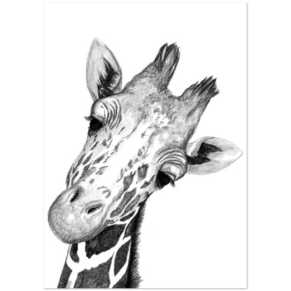 4622a3e5-28ba-4622-b36c-2bd44c053436